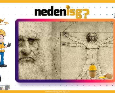 Antropometride İstatistiki Veriler