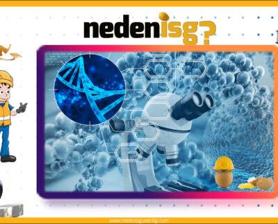 Nanomalzemeler ve İş Güvenliği