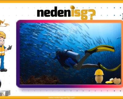 Yüksek Basınçlı Ortamlarda Çalışma Şartları!