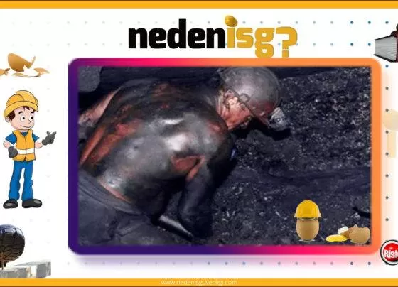 Tozların Sınıflandırılması