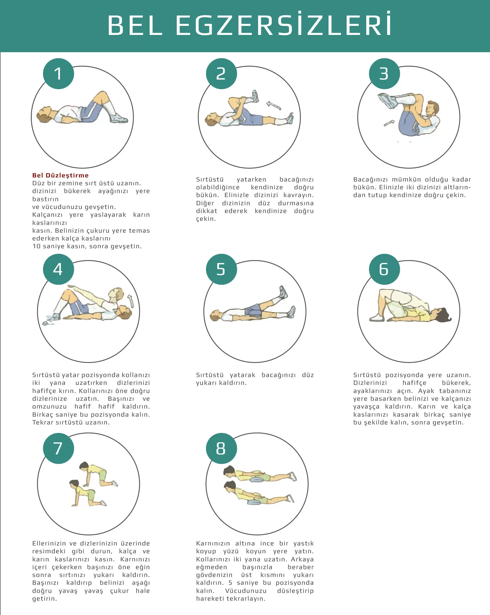 Sağlıklı Yaşam ve Egzersiz 2
