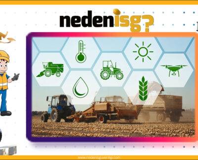 Tarım Sektöründe Toza Bağlı Sağlık Sorunları