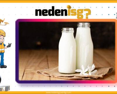 Süt Ürünleri Sektöründe İş Sağlığı ve Güvenliği