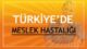 Türkiye'de Meslek Hastalıkları 14