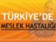Türkiye'de Meslek Hastalıkları 15