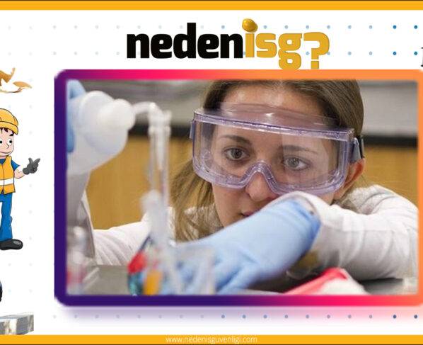 Tehlikeli Kimyasal Maddelerin Oluşturduğu Riskler ve Önleme Yöntemleri