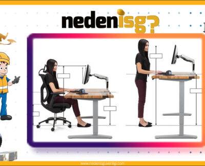 Ergonominin Doğuşu ve Yaklaşımı