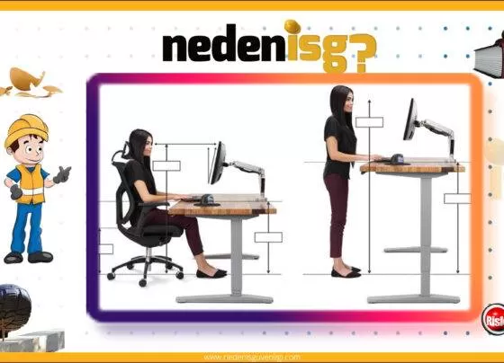 Ergonominin Doğuşu ve Yaklaşımı