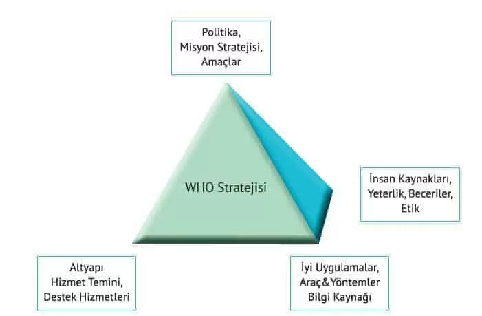Neden Temel İş Sağlığı Hizmetleri?