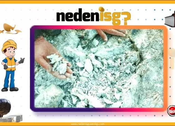 Asbest Hangi Hastalıklara Neden Olur