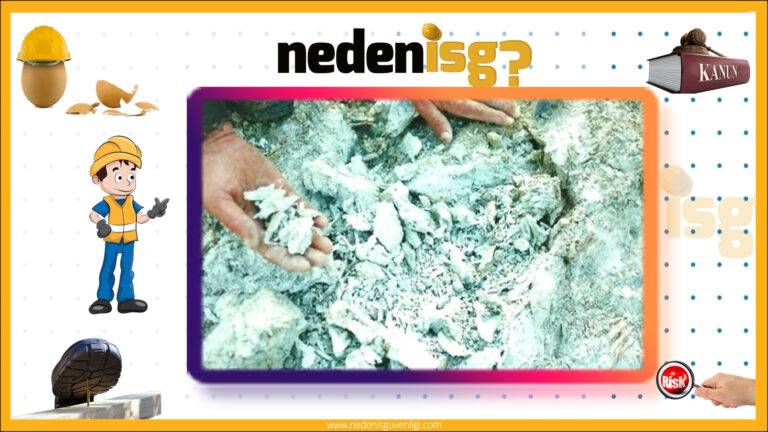 Asbest Hangi Hastalıklara Neden Olur