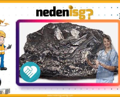 Manganez ve Bileşiklerine Bağlı Hastalıklar