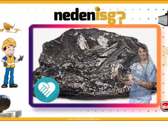 Manganez ve Bileşiklerine Bağlı Hastalıklar