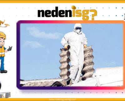 Asbest Hastalıkları