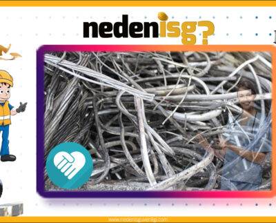 Nikel ve Bileşiklerine Bağlı Hastalıklar