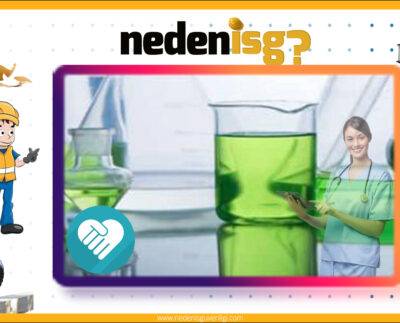 Organik Solventlere Bağlı Kronik Nörotoksisit