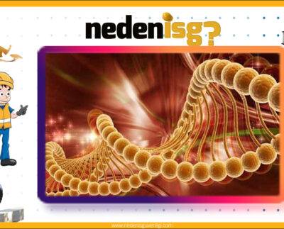 Mesleki Akciğer Hastalıkları