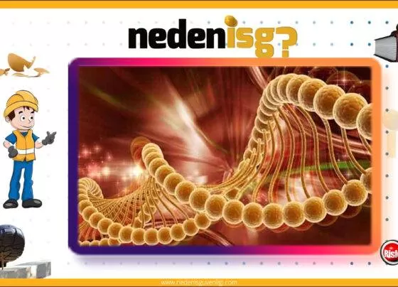 Mesleki Akciğer Hastalıkları