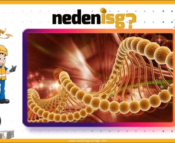 Mesleki Akciğer Hastalıkları