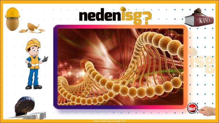 Mesleki Akciğer Hastalıkları 15 Mesleki Akciğer Hastalıkları