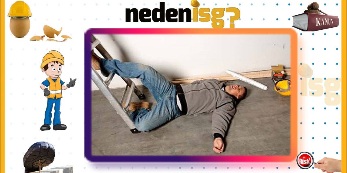 1542 Kişinin Katili Kim?