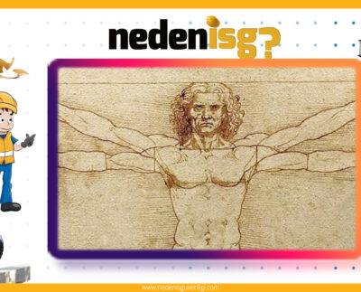 Antropometrik Çalışma Yeri Düzenleme