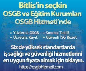Bitlis İş Sağlığı ve Güvenliği Analizi 1