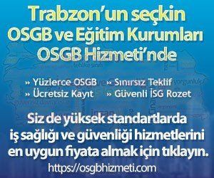 Trabzon İş Sağlığı ve Güvenliği Analizi 1