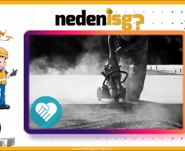 Toksit İnhalasyon Hasarları