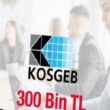 KOSGEB'in 300 bin TL geri ödemesiz hibe desteği başladı! 2