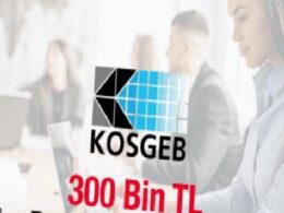 KOSGEB'in 300 bin TL geri ödemesiz hibe desteği başladı! 3