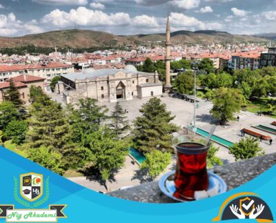 Aksaray İş Sağlığı ve Güvenliği Analizi