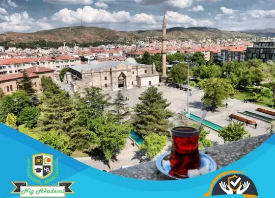 Aksaray İş Sağlığı ve Güvenliği Analizi
