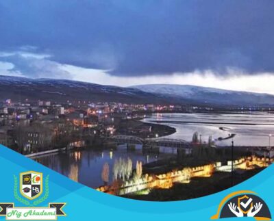 Ardahan İş Sağlığı ve Güvenliği Analizi