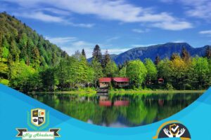 Artvin İş Sağlığı ve Güvenliği Analizi