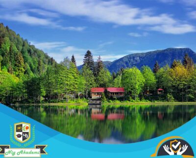 Artvin İş Sağlığı ve Güvenliği Analizi