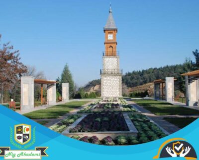 Bilecik İş Sağlığı ve Güvenliği Analizi