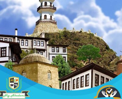 Bolu İş Sağlığı ve Güvenliği Analizi