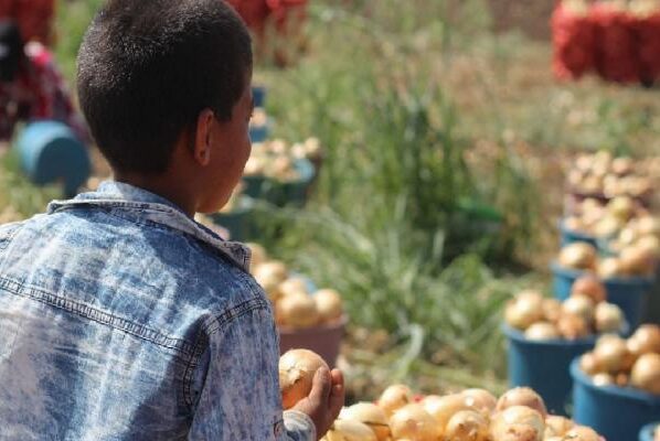 Çocuk işçi sayısı 4 yılda 8,4 milyon arttı 9