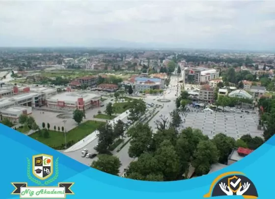 Düzce İş Sağlığı ve Güvenliği Analizi