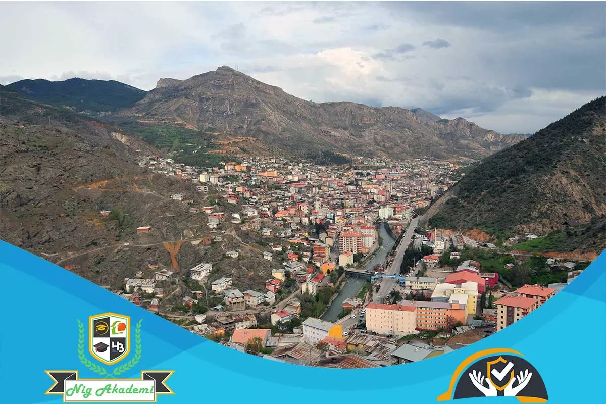Gümüşhane İş Sağlığı ve Güvenliği Analizi