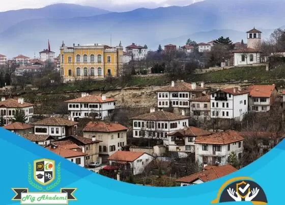 Karabük İş Sağlığı ve Güvenliği Analizi