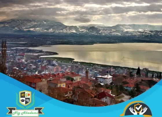 Kocaeli İş Sağlığı ve Güvenliği Analizi
