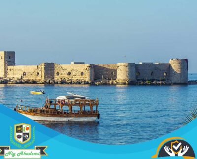 Mersin İş Sağlığı ve Güvenliği Analizi