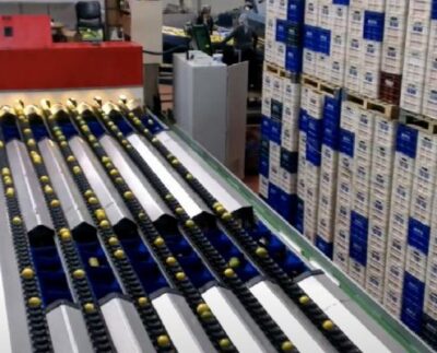 Mersin'de iş cinayeti: Makineye takılan çocuk işçi Ula Kerem hayatını kaybetti 7