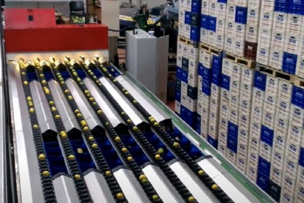 Mersin'de iş cinayeti: Makineye takılan çocuk işçi Ula Kerem hayatını kaybetti 8