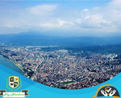 Ordu İş Sağlığı ve Güvenliği Analizi