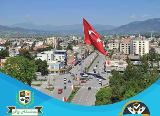 Osmaniye İş Sağlığı ve Güvenliği Analizi