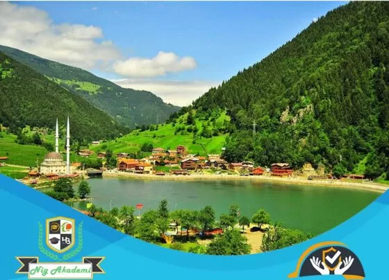 Rize İş Sağlığı ve Güvenliği Analizi