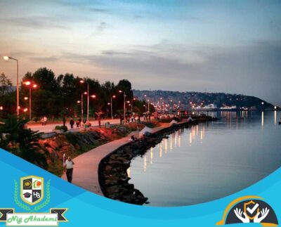 Samsun İş Sağlığı ve Güvenliği Analizi